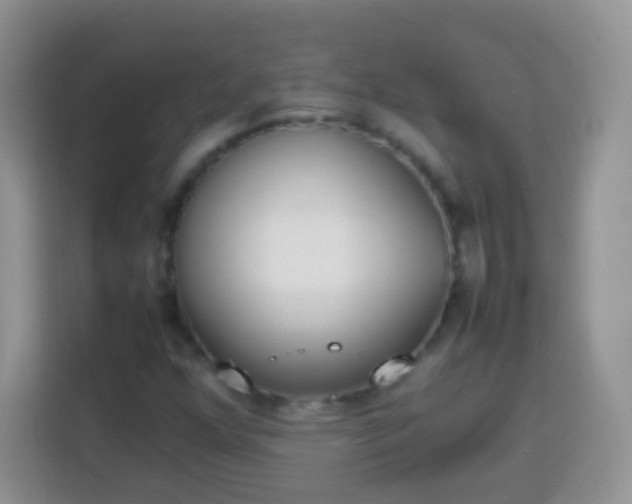 X0000113751352200910071058