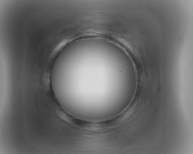 X0000113751355200910071058