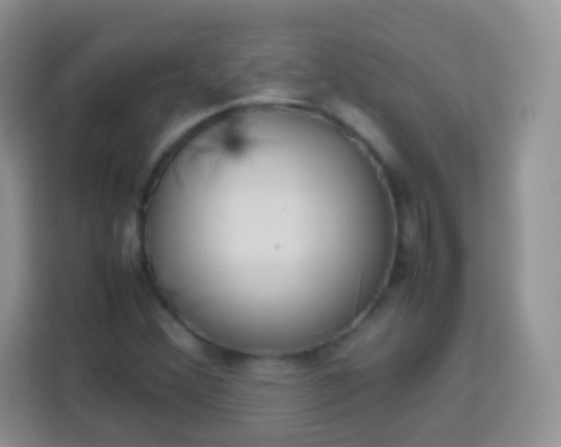 X0000113751356200910071057