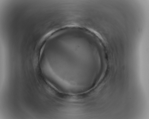 X0000113751359200910071057