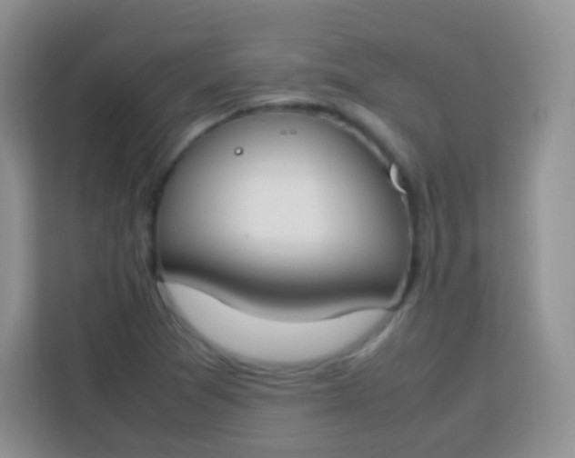 X0000113751361200910071057