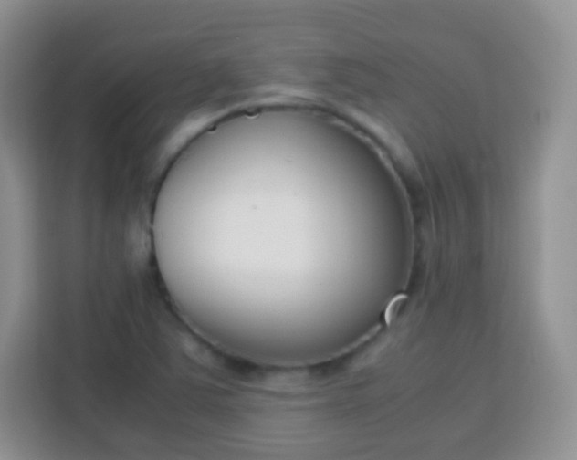 X0000113751363200910071057