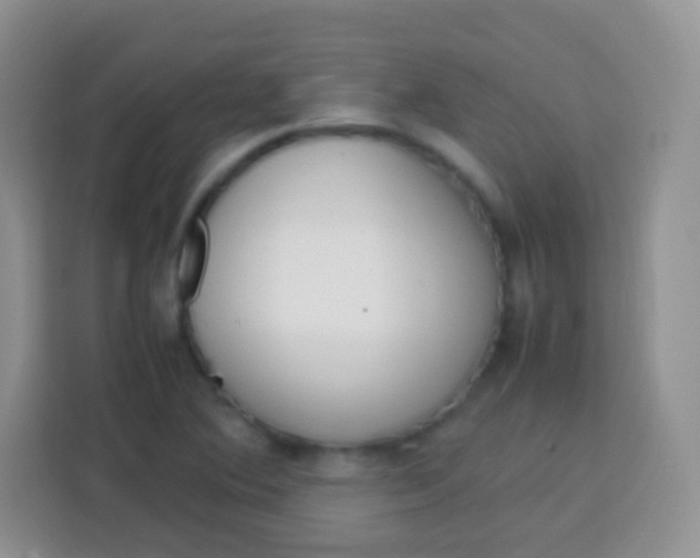 X0000113751364200910071057