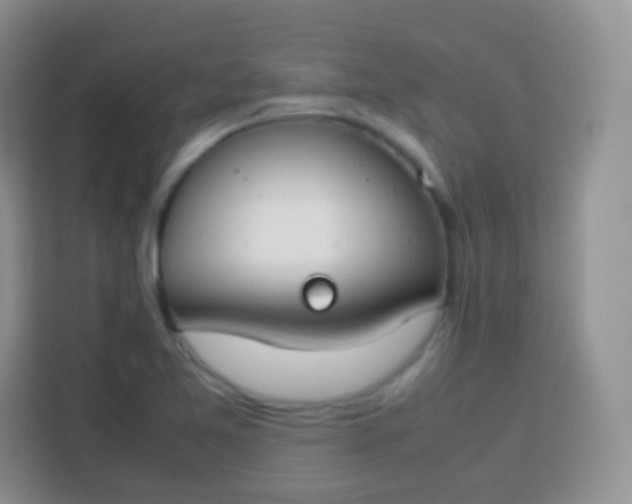 X0000113751365200910071057