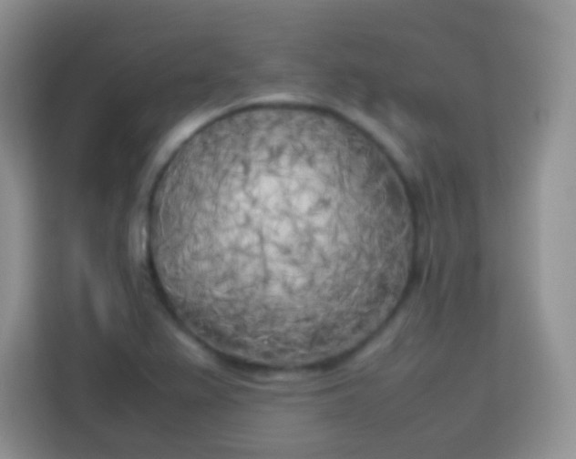 X0000113751367200910071057