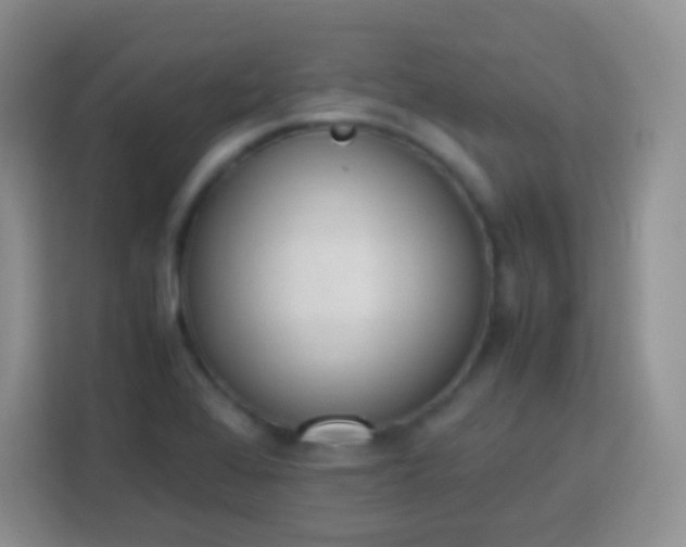 X0000113751368200910071057