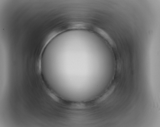 X0000113751370200910071057