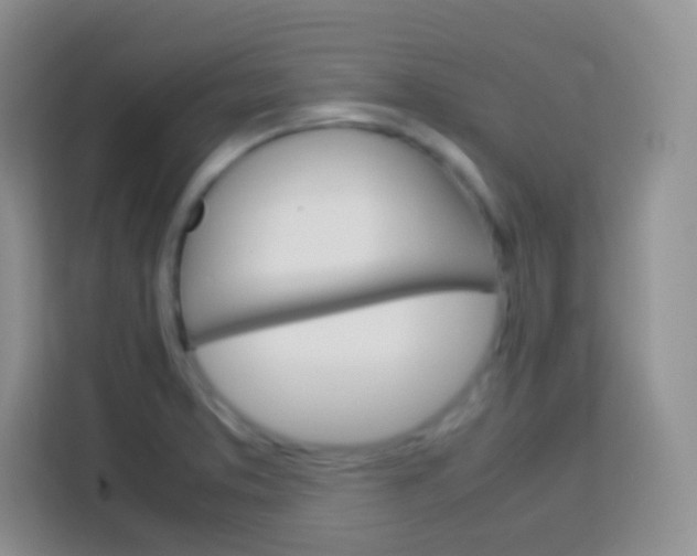 X0000113751373200910071057