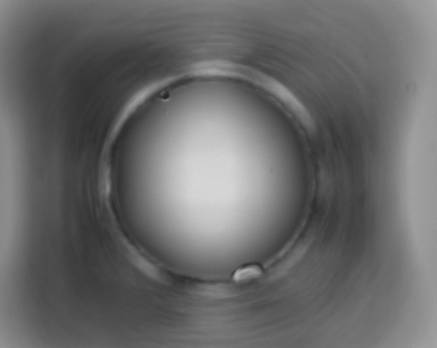 X0000113751376200910071057