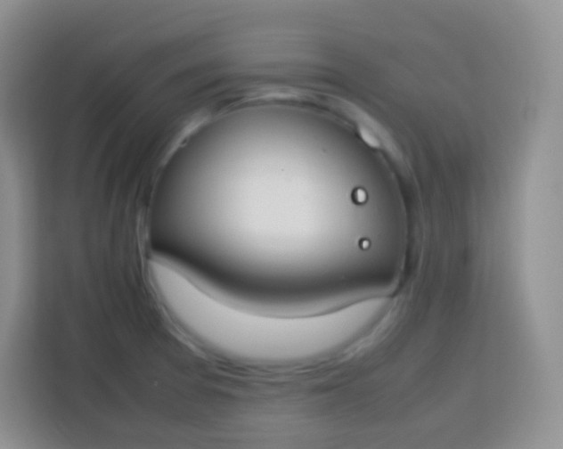 X0000113751377200910071057