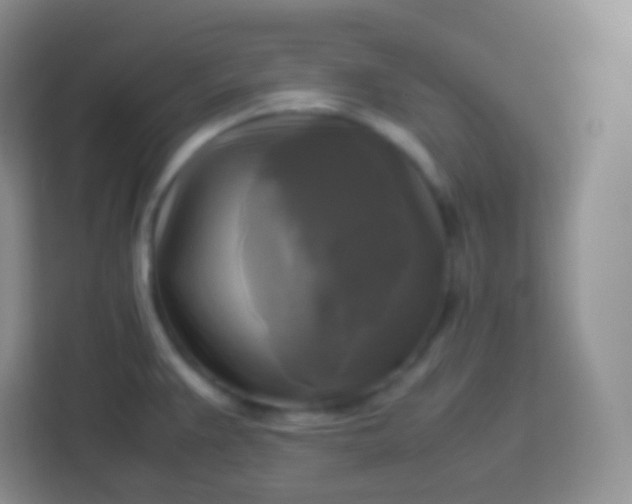 X0000113751383200910071057