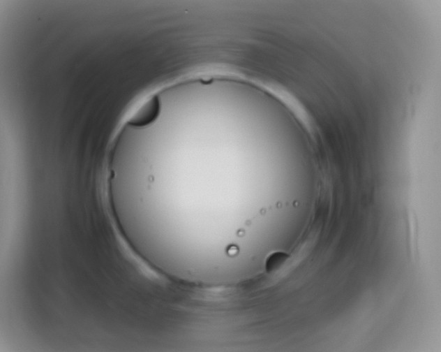 X0000113751390200910071057