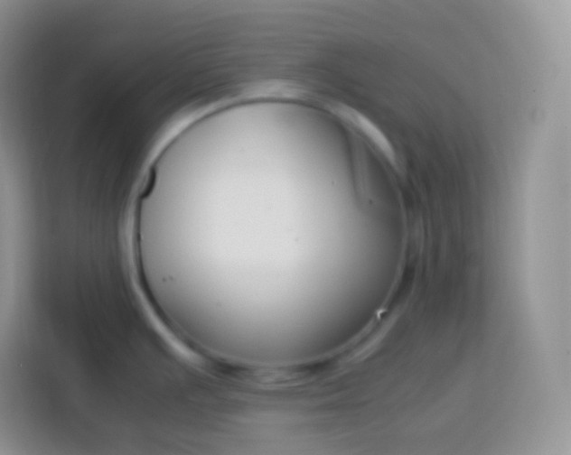 X0000113751391200910071057