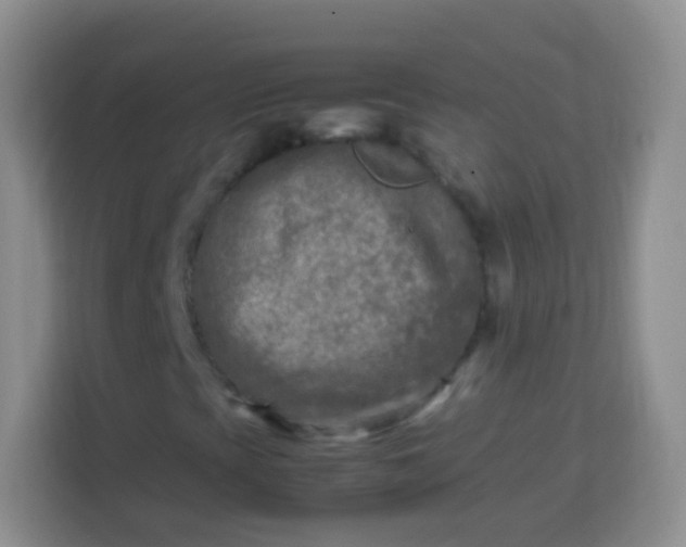 X0000113751393200910071056