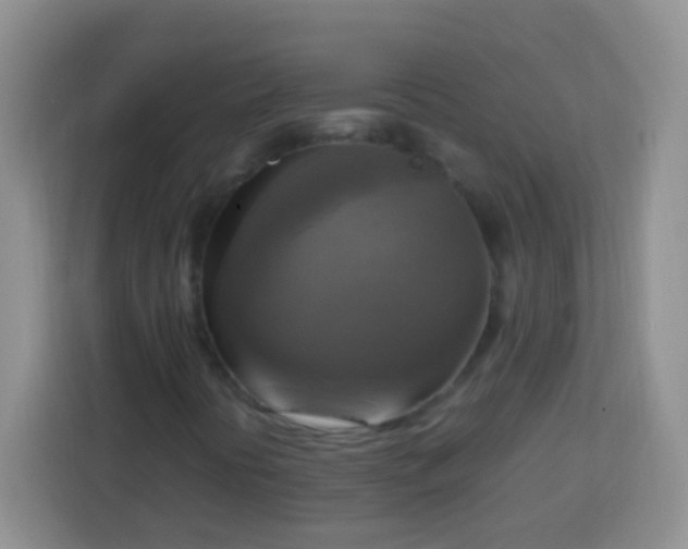 X0000113751394200910071056