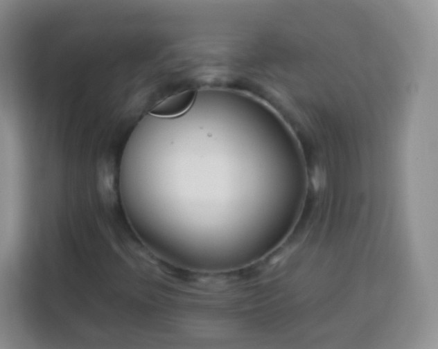 X0000113751396200910071056