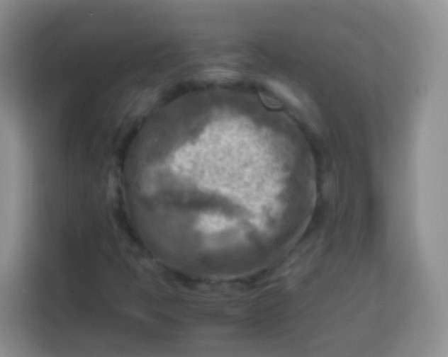 X0000113751397200910071056