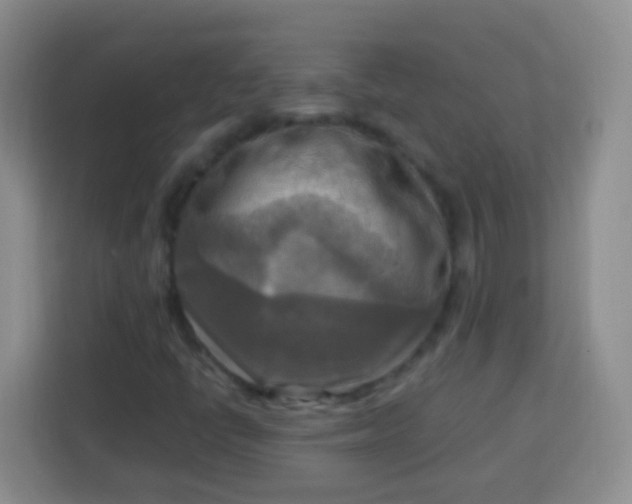 X0000113751398200910071056