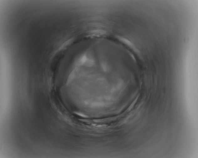 X0000113751399200910071056