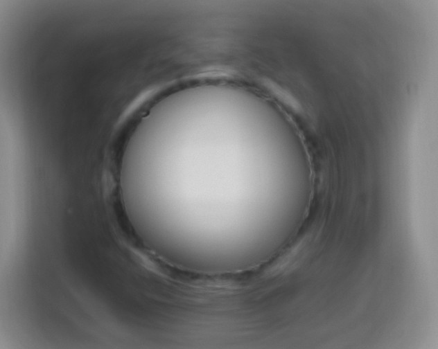 X0000113751400200910071056