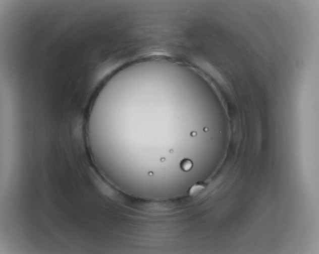 X0000113751404200910071057