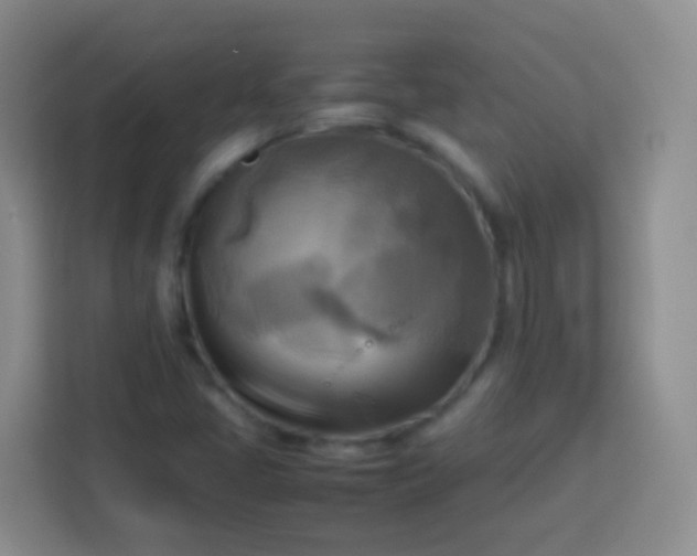 X0000113751405200910071057