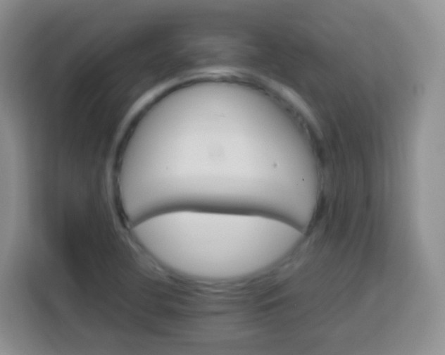 X0000113751412200910071057