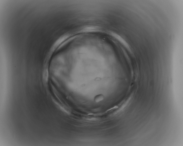 X0000113751413200910071057