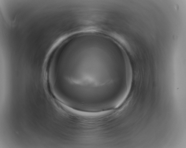 X0000113751414200910071057