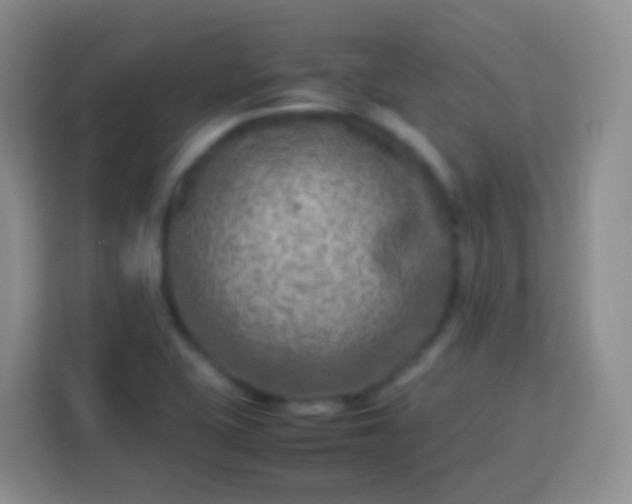 X0000113751415200910071057