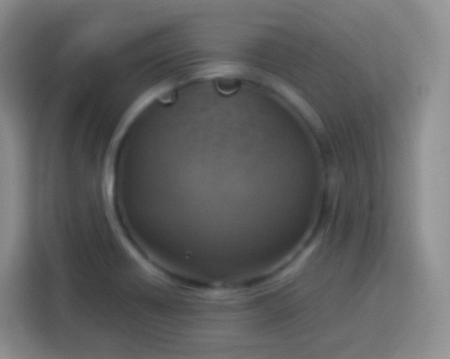 X0000113751418200910071057