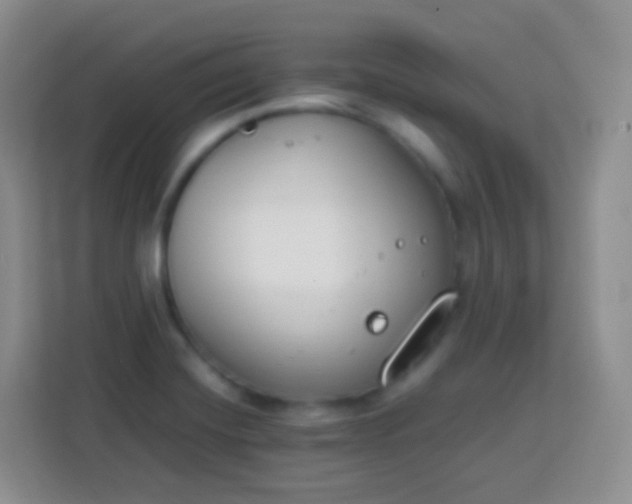 X0000113751420200910071057