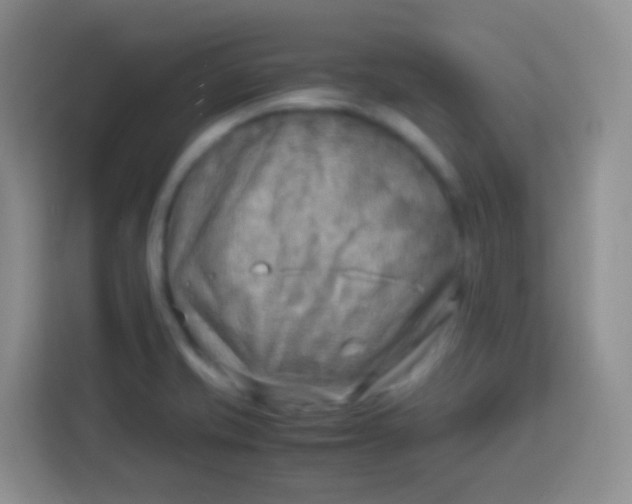 X0000113751421200910071057