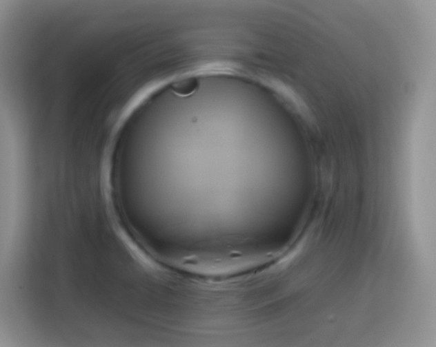 X0000113751422200910071057