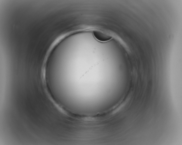 X0000113751424200910071057