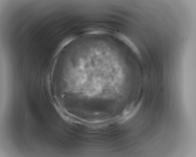 X0000113751425200910071057