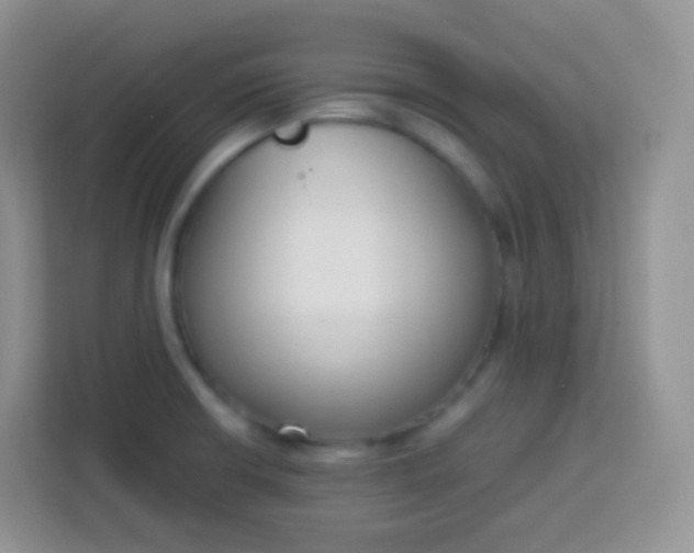 X0000113751426200910071057