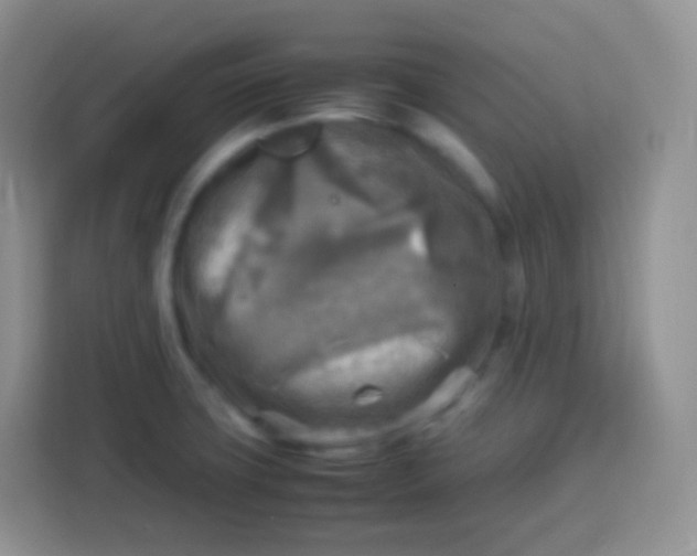 X0000113751427200910071057