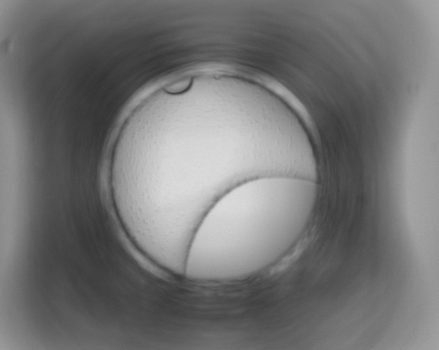 X0000113751429200910071057