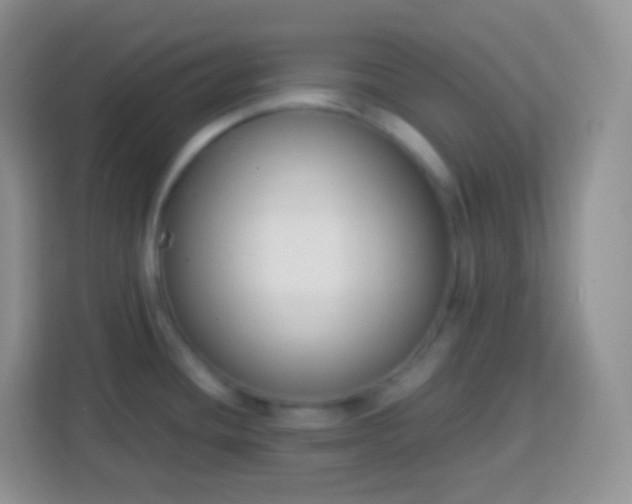 X0000113751436200910071057