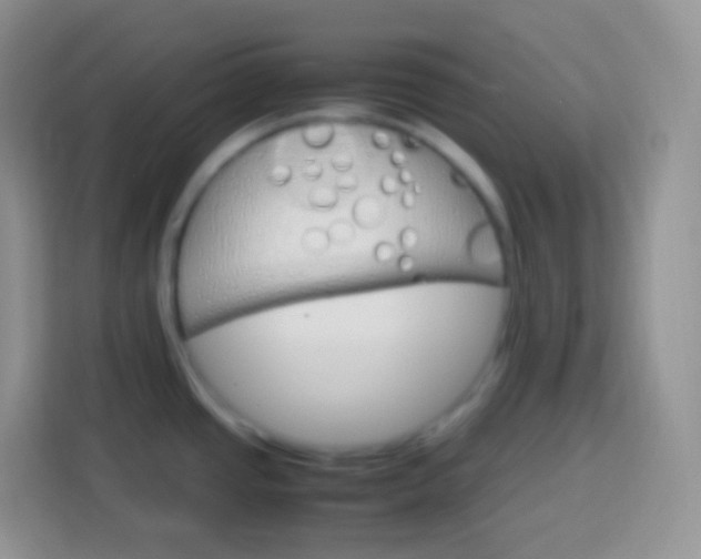 X0000113751437200910071057