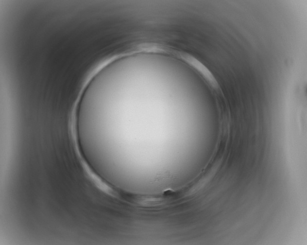 X0000113751439200910071057