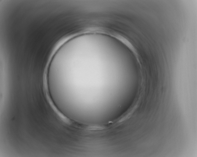 X0000113751440200910071057