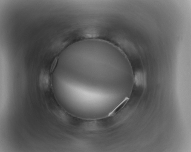 X0000113751444200910071056