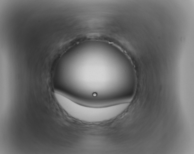 X0000113751445200910071056