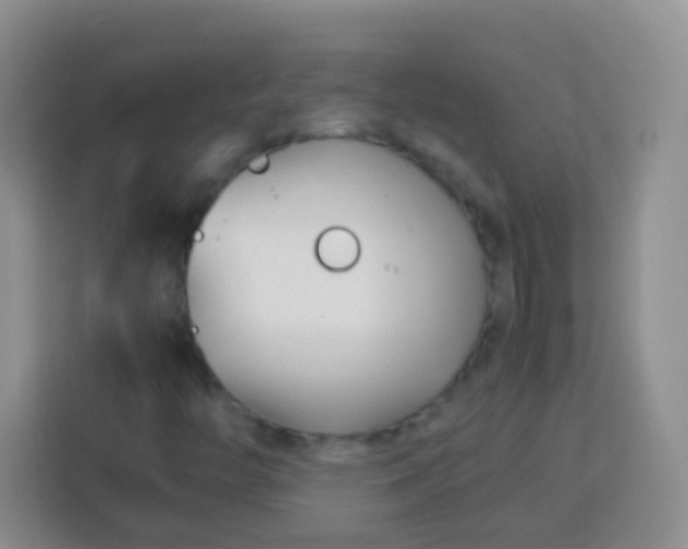 X0000113751446200910071056