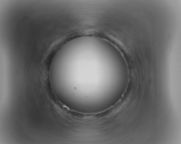 X0000113751447200910071056