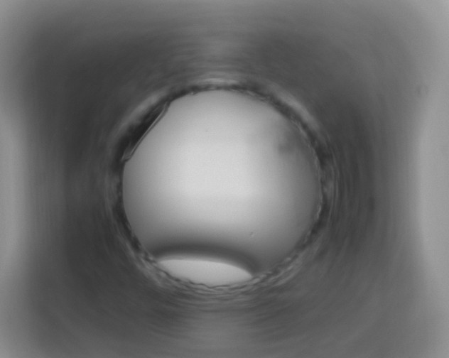 X0000113751448200910071056