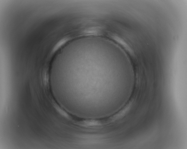 X0000113751450200910071056