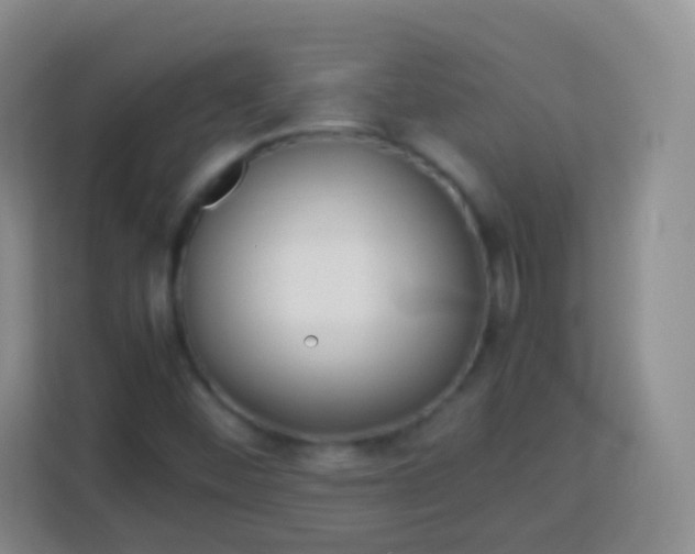 X0000113751452200910071056